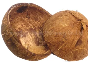 Coconut Shell