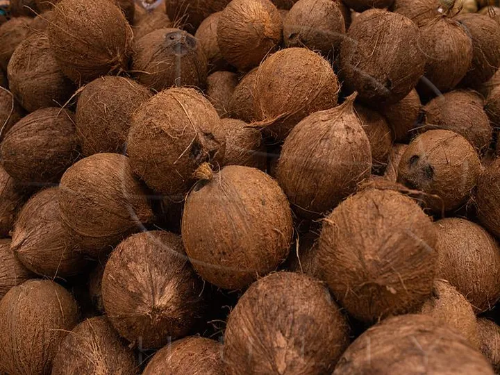 Coconut